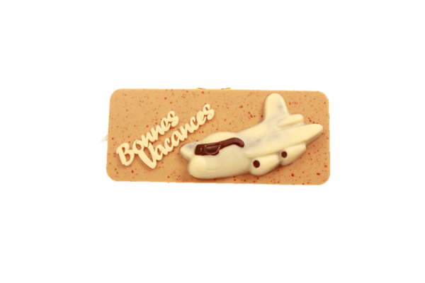 plaquette avion
