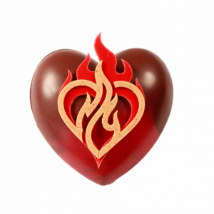 COEUR BONBONNIÈRE CHOCOLAT t2 noir 70% madagascar + 4  coeurs fourrés praliné