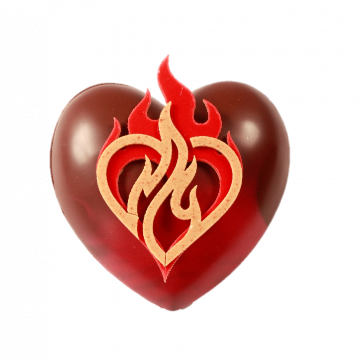 COEUR BONBONNIÈRE CHOCOLAT t2 noir 70% madagascar + 4 coeurs fourrés praliné