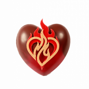 COEUR BONBONNIÈRE CHOCOLAT t1 noir 70% madagascar + 2  coeurs fourrés praliné